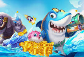 196体育经典版2024最新版